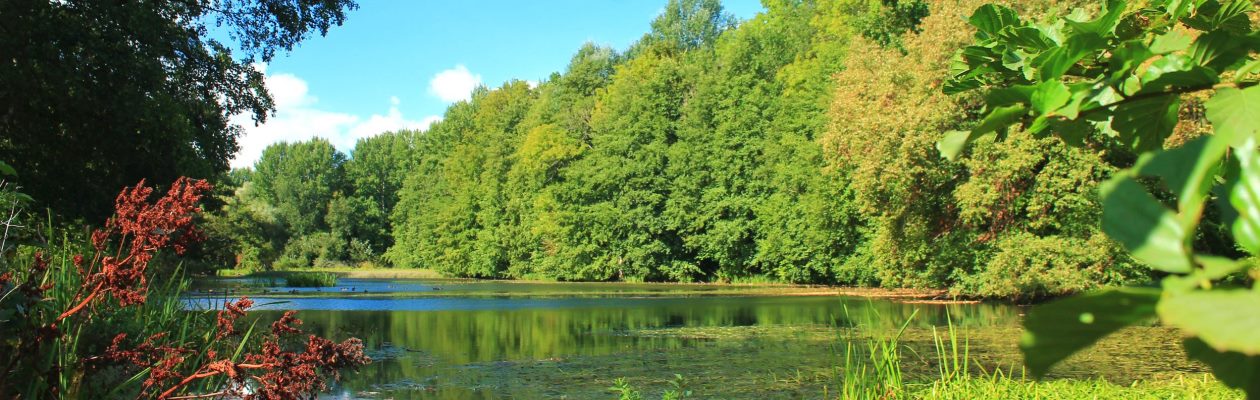 Ausfluege Wassermuehle Gollmitz